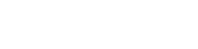 Hollister Incorporated