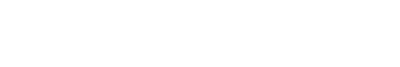 XL Media